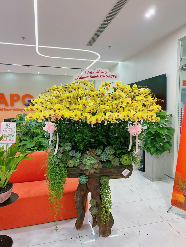 Lan Hồ Điệp Huyền Ngọc - LHD039