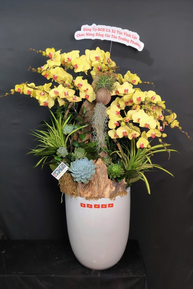 Lan Hồ Điệp Thủy Tinh Thanh Khiết - LHD023