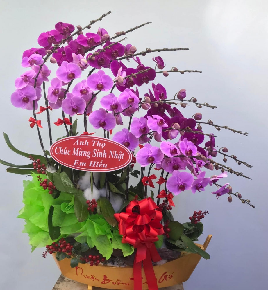 Hoa lan hồ điệp 12 cành - HD0054