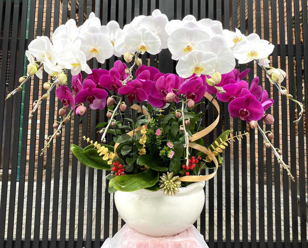 Hoa lan hồ điệp 9 cành - HD0113