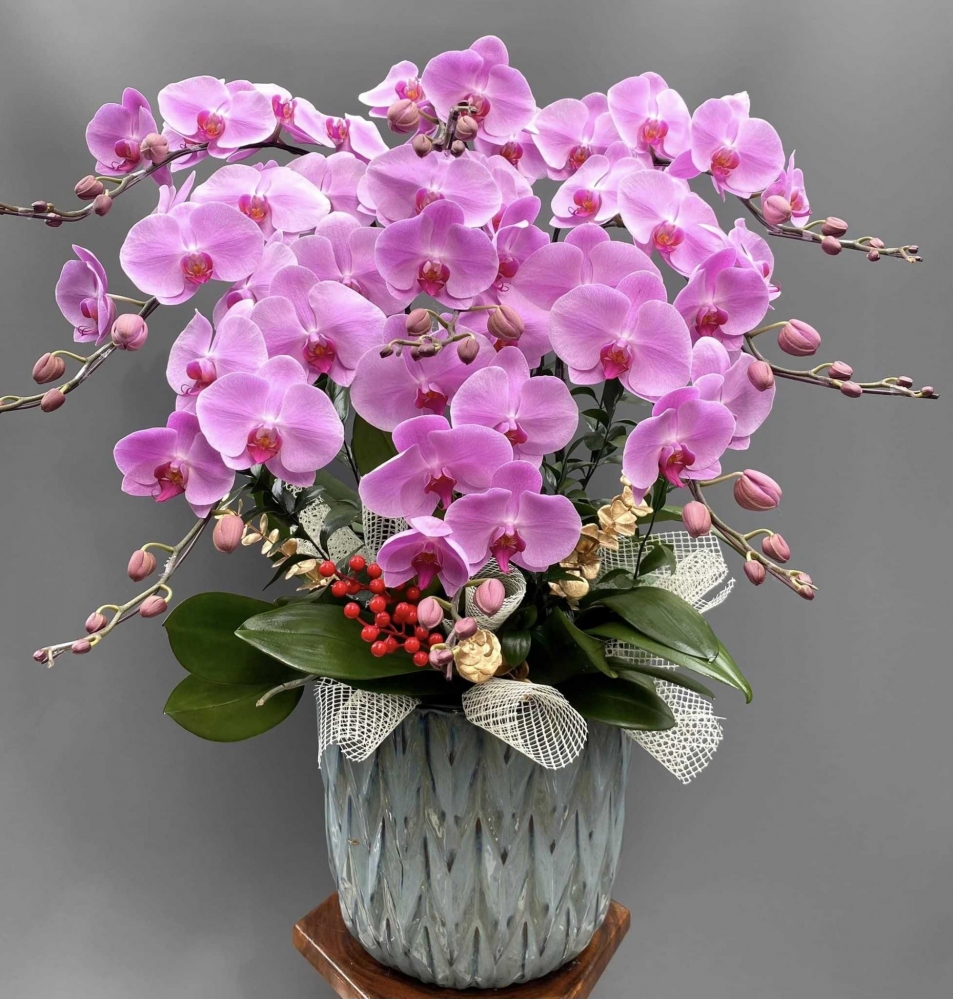 Hoa lan hồ điệp 9 cành - HD0127