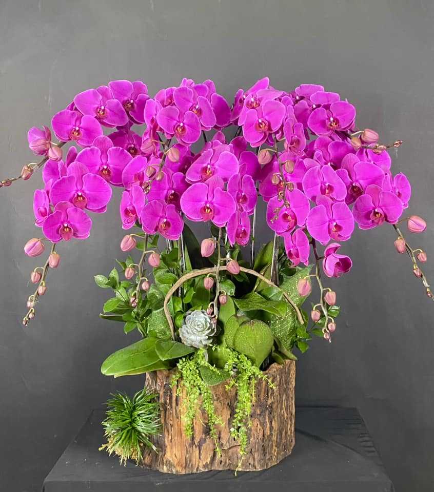 Hoa lan hồ điệp 9 cành - HD0125