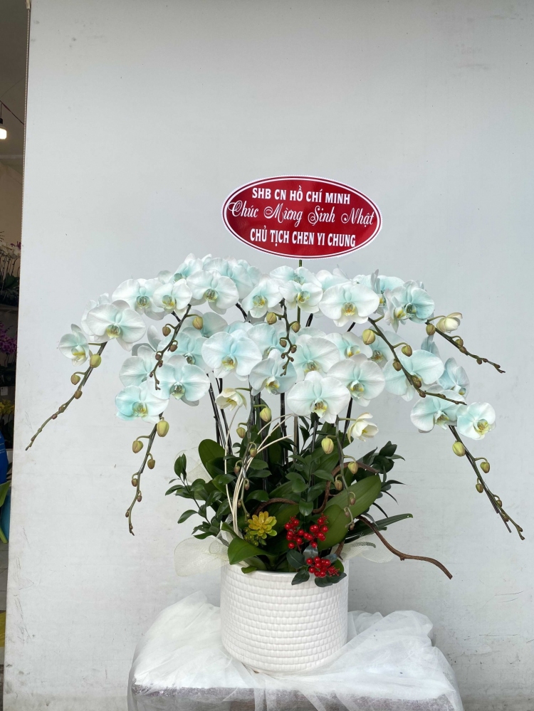 Hoa lan hồ điệp 9 cành - HD0120