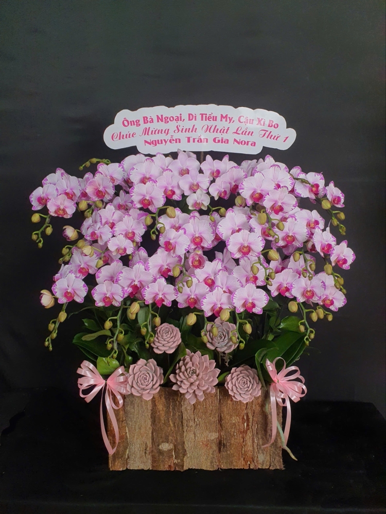 Lan Hồ Điệp Thiên Tường Như Ý - LHD030