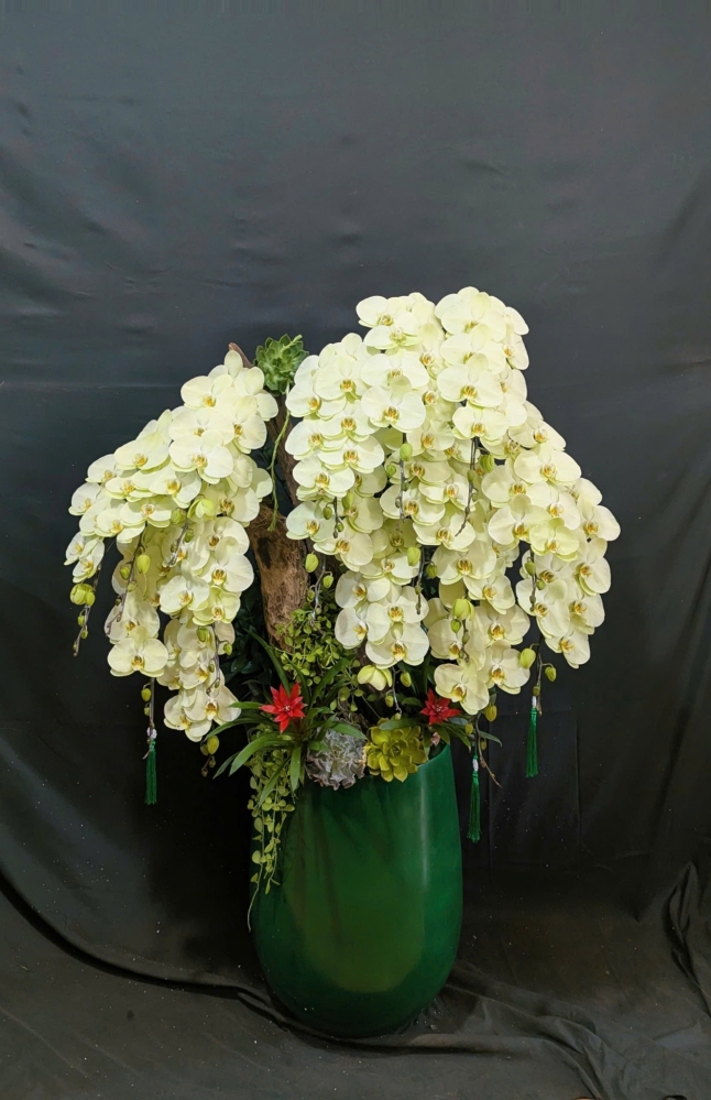 Lan Hồ Điệp Xanh Bơ Mix Lũa Cao Cấp - LHD355