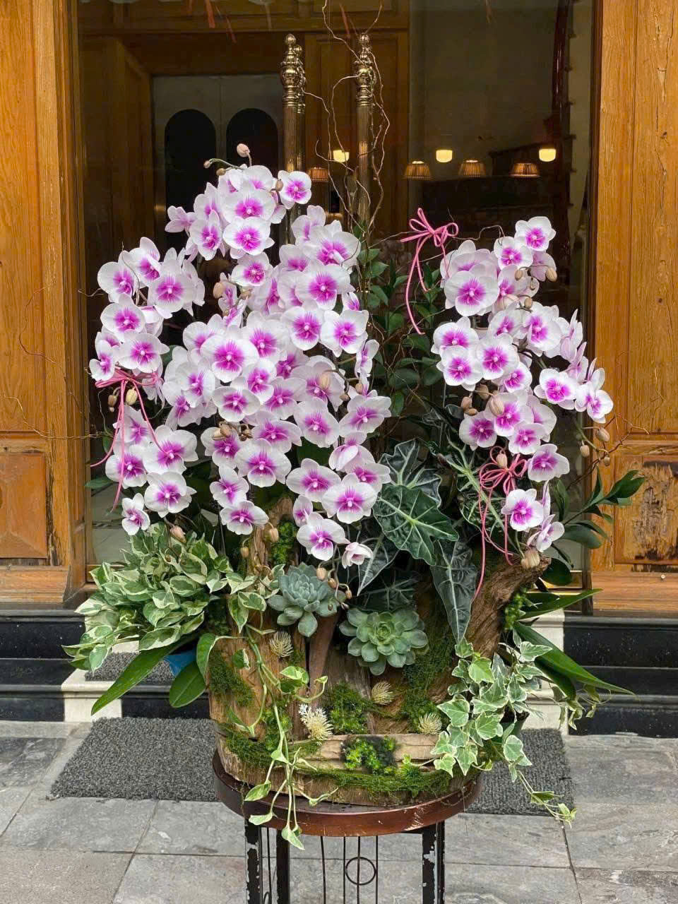 Lan Hồ Điệp Hồng Duyên Thắm - LHD011