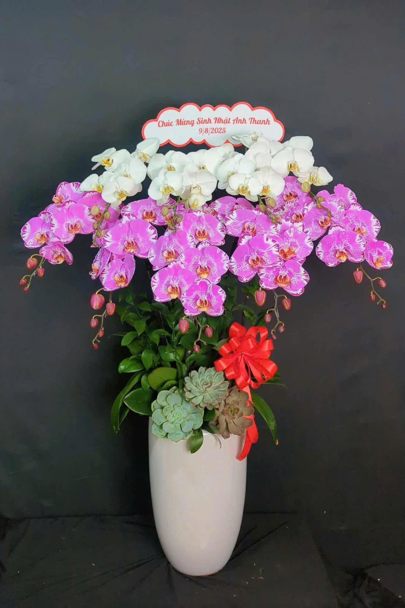 Lan Hồ Điệp Vàng May Mắn - LHD014