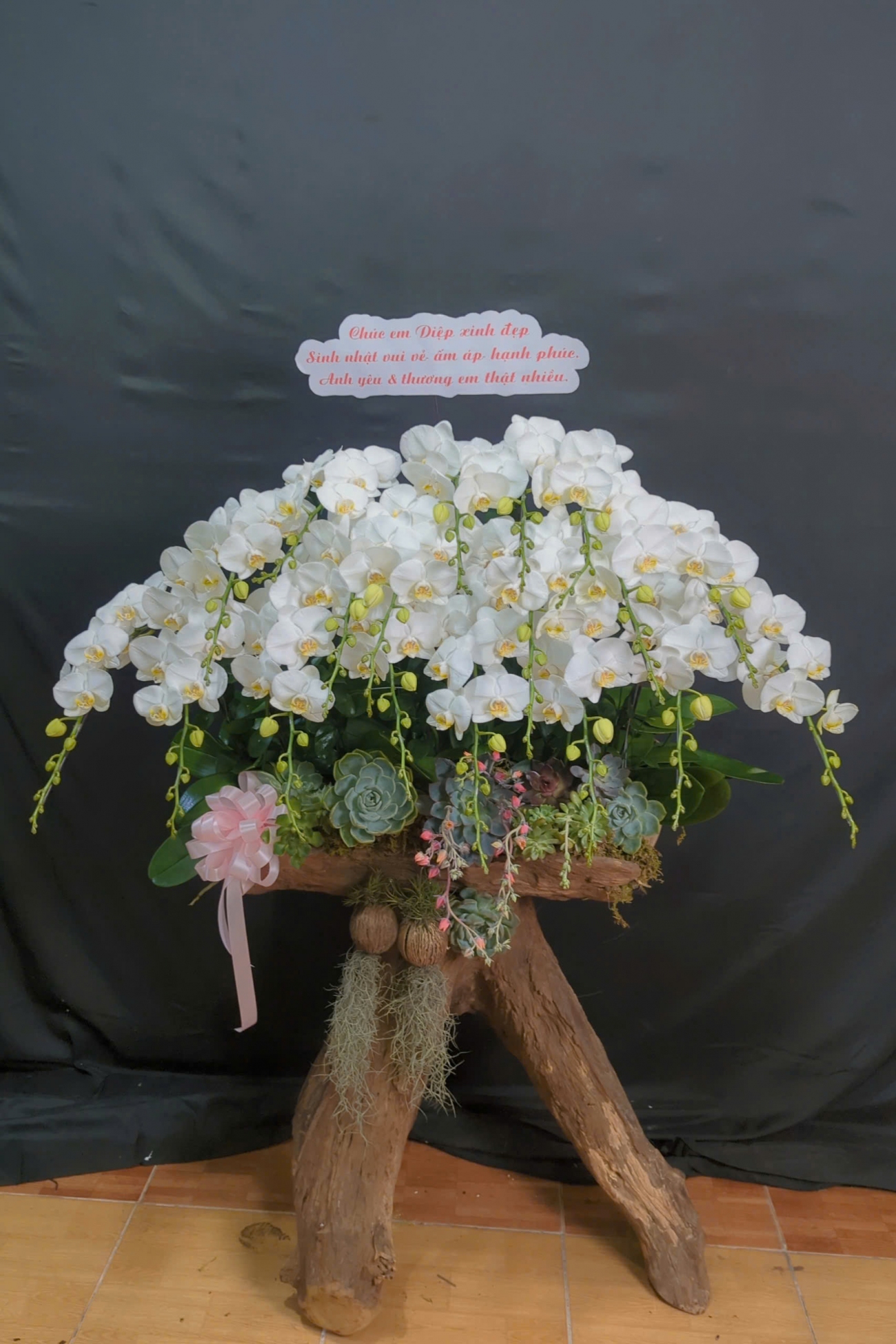 Lan Hồ Điệp Tinh Khôi - LHD001