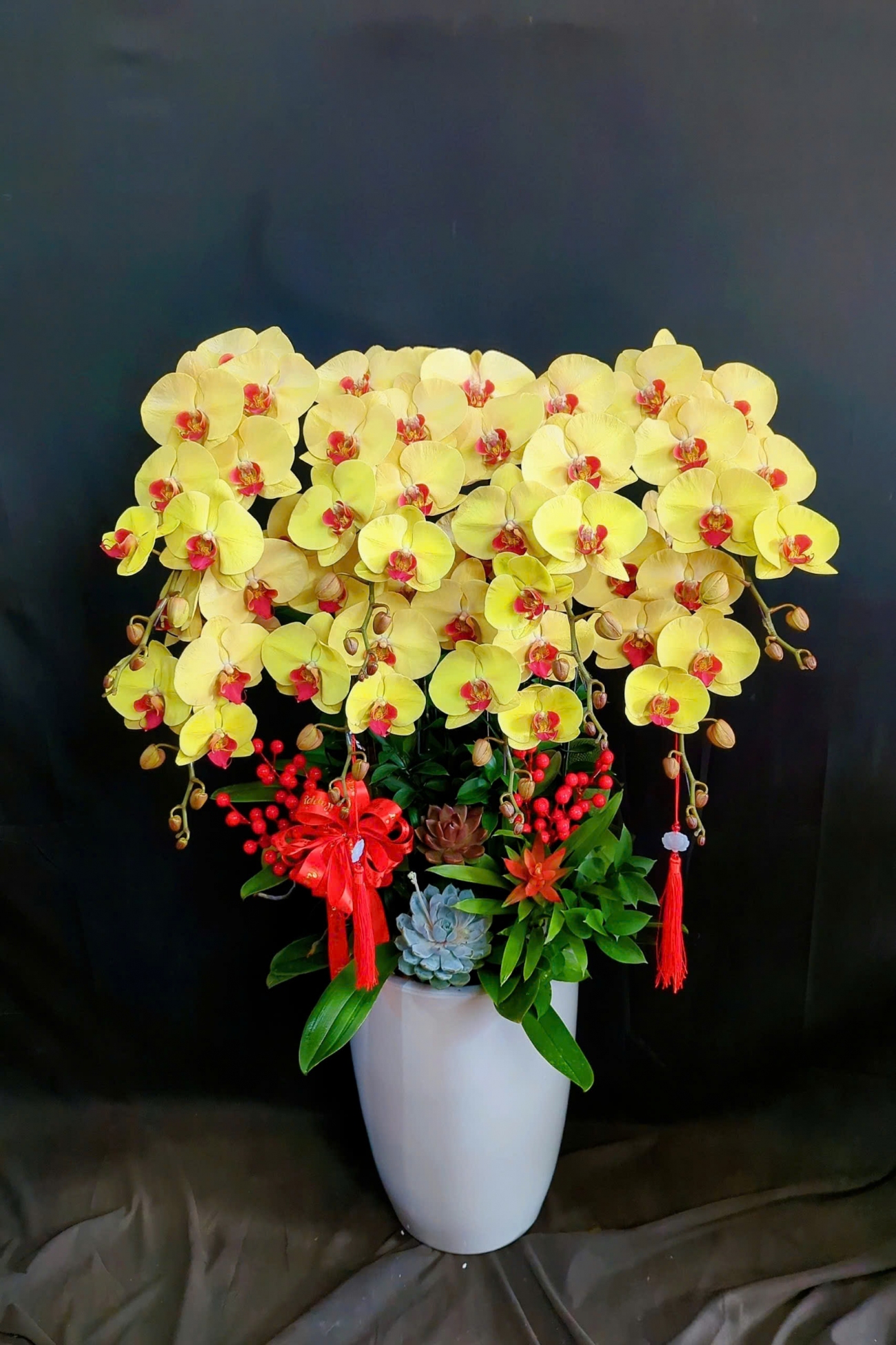 Lan Hồ Điệp Kim Phúc - LHD244