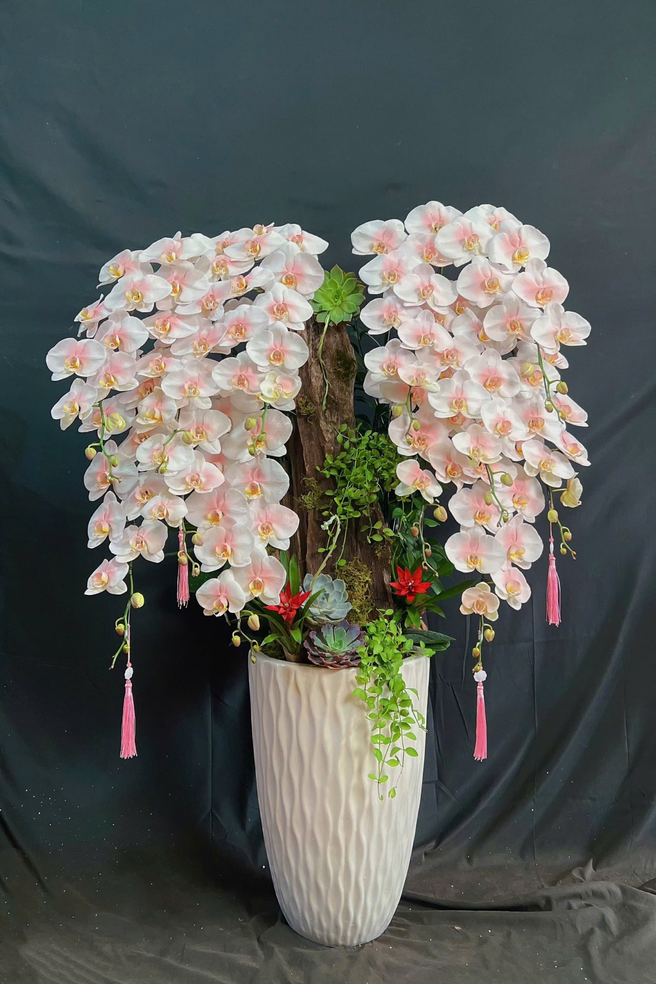 Lan Hồ Điệp Trắng Phun Hồng Mix Lũa Cao Cấp - LHD345