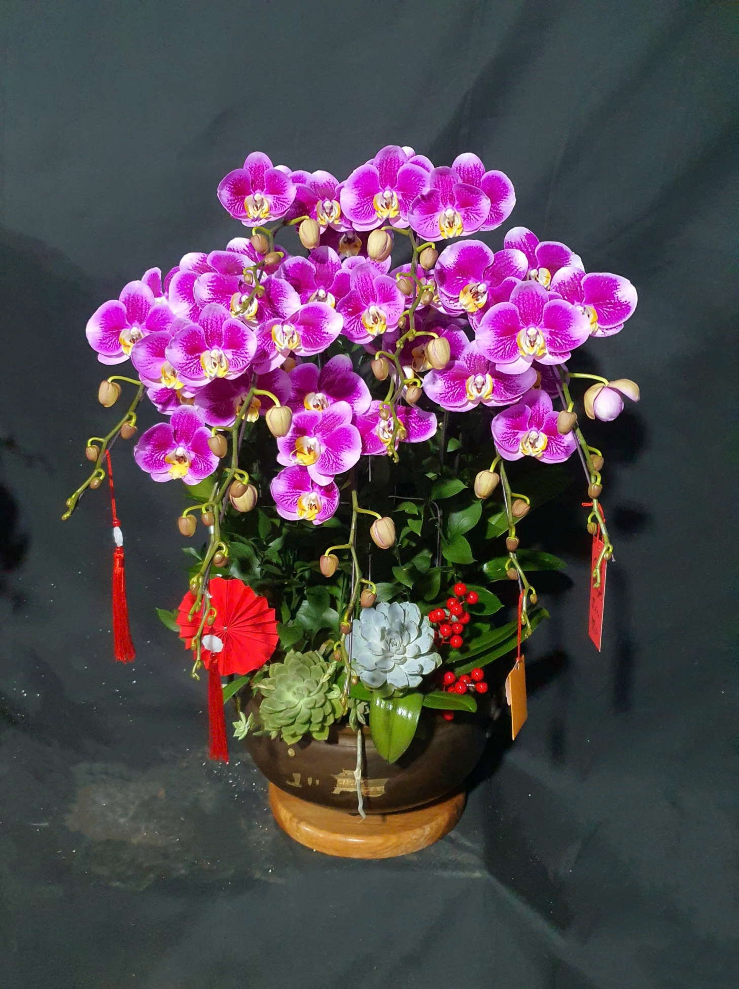 Lan Hồ Điệp Tím Nhung - LHD374