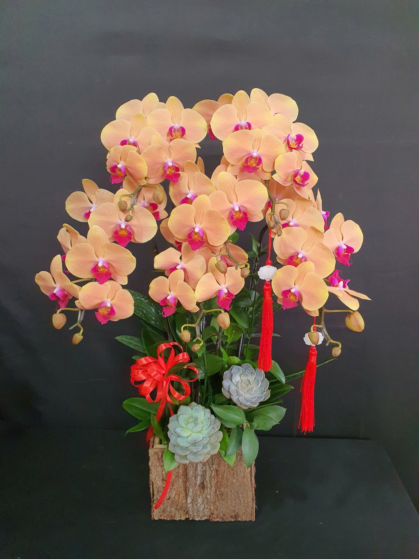 Lan Hồ Điệp Cam Cành Đôi - LHD384